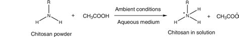 Chemical Reaction Between Chitosan And Acetic Acid In Aqueous Medium Download Scientific Diagram