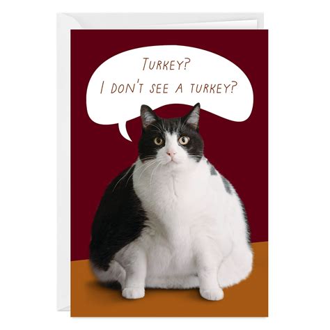 Fat Cat Funny Custom Thanksgiving Card - Greeting Cards | Hallmark