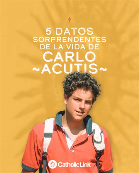 5 Datos Sorprendentes De La Vida De Carlo Acutis Catholic Link