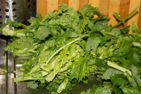 Cime Di Rapa Stufate Ricetta Pugliese Life Blog