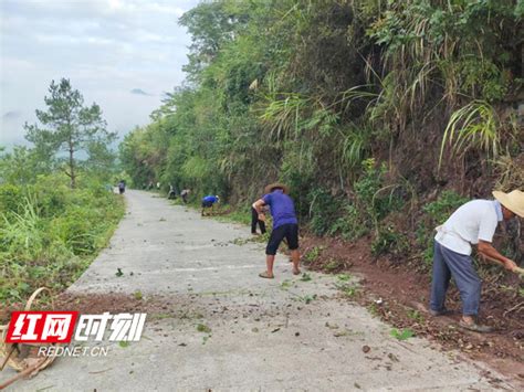 桑植县：推进农村公路养护体制改革 农民养路就业增收腾讯新闻