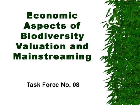 Economic Aspects Of Biodiversity Valuation And Mainstreaming Ppt