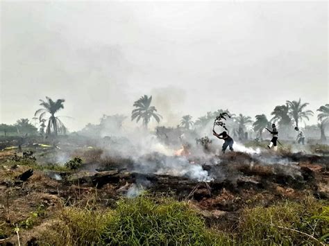 Lahan Gambut Di Aceh Barat Daya Terbakar 2 Damkar Dikerahkan Opsi ID