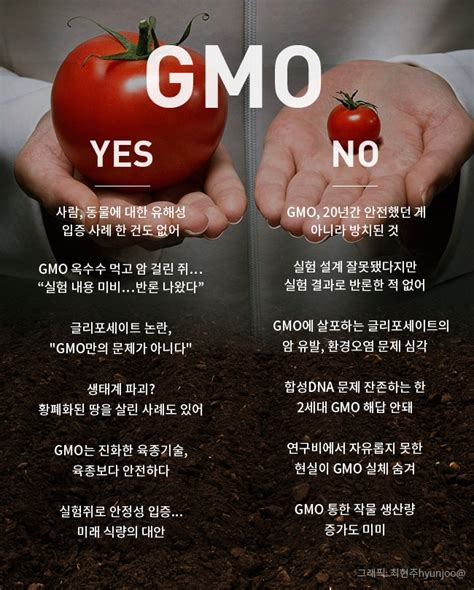 알고먹자 Gmo ①gmo 공포는 누가 만드나“유해성 입증된 사례 없다”贊