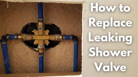 How To Replace A Leaking Bathtub Shower Valve Copper To Pex Youtube