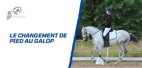 Comment Apprendre Le Changement De Pied Au Galop Un Cheval