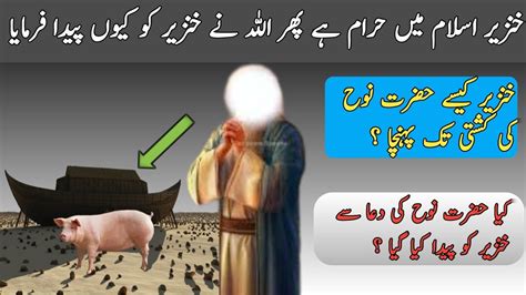 Why Did Allah Created Pig If Its Haram In Islam Facts About Pig