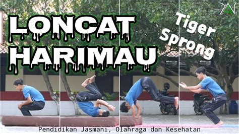 Loncat Harimau Tiger Sprong Youtube