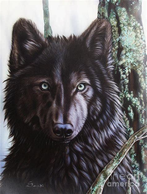 Black Wolf Painting by Sandi Baker