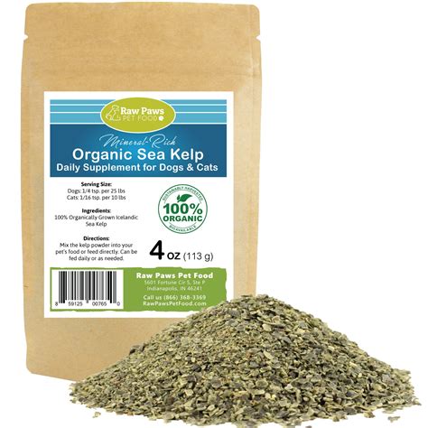 Raw Paws Pet Organic Sea Kelp For Dogs Cats 4 Ounce Powder Icelandic