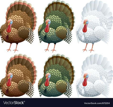 Turkey Royalty Free Vector Image Vectorstock