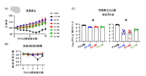 オミクロン変異株のba4系統やba5系統の増殖能や病原性はどうなのか バイオの杜