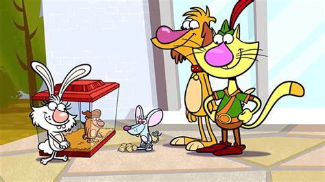 Nature Cat And His Friends With Sir Galahad By Rainbowdashfan2010 On