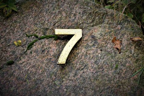 fun facts  number    amaze  amazing facts home