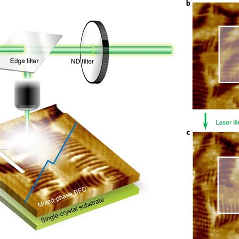 Optical Modulation Of The Highly Strained BFO Thin Film A Experimental