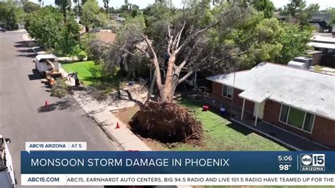 Massive Tree Falls On Phoenix Home During Monsoon Storm