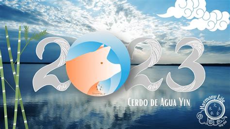 Noviembre 2023 Cerdo De Agua Yin Descubre Lo Que Este Mes Tiene