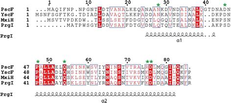 Frontiers Structural And Functional Characterization Of The Type