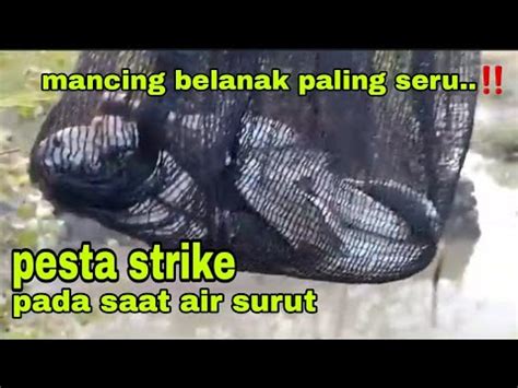 PESTA STRIKE Setelah Pindah Spot Saya Panen Strike