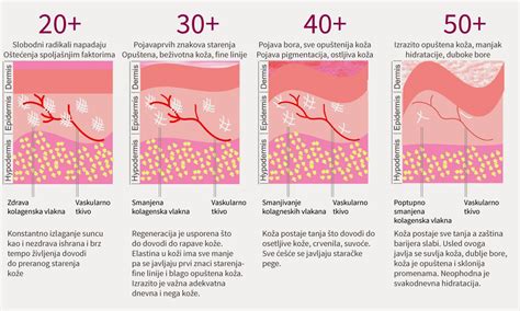 KOLAGEN kako nastaje i sve o kolagenu Elpida Dermatološki laser centar