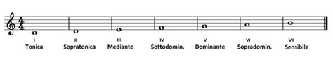 Scale Musicali Cosa Sono E Come Si Formano Dan Musica