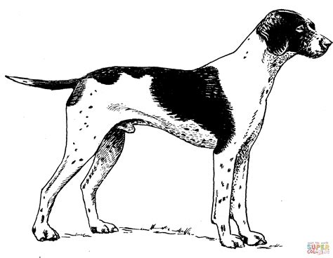 dog pointers - Clip Art Library