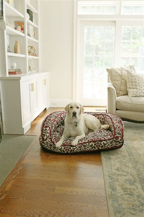 Our Dog Scout Loves His Harper Pet Sofa Bed From La Z Boy Which Just