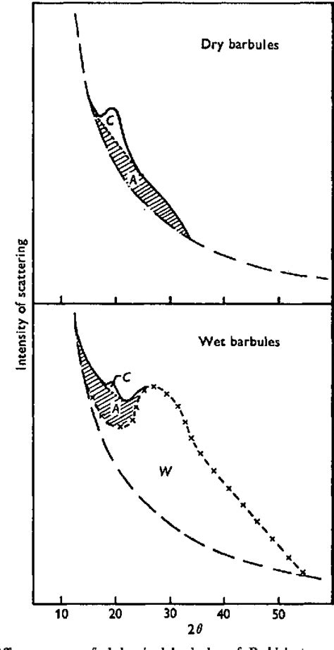 Figure 2 from THE WATER-HOLDING MECHANISM OF SANDGROUSE FEATHERS | Semantic Scholar