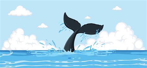 Whale Fluke Vector Images (45)