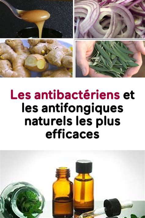 Les Antibactériens Et Les Antifongiques Naturels Les Plus Efficaces