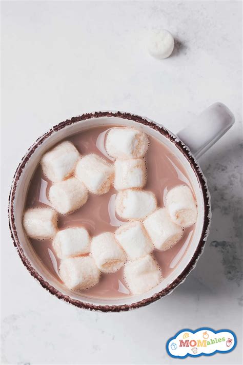 The Best Homemade Hot Cocoa Makes 1 Or 4 Mugs Momables