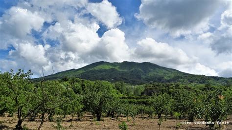 Il F Lice E Le Acque Del Somma Vesuvionews Notizie Dalla Citt