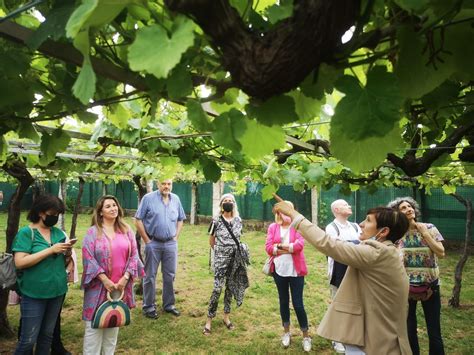 La Ruta do Viño Rías Baixas pone a la venta las entradas para la