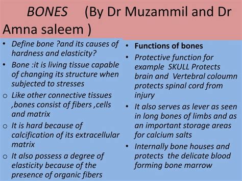 Bones anatomy | PPT | Free Download