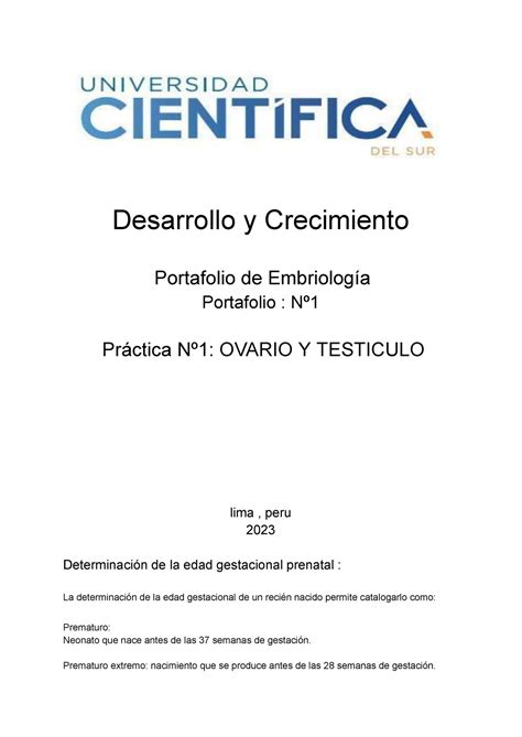 Informe De Embriologia N Desarrollo Y Crecimiento Portafolio De