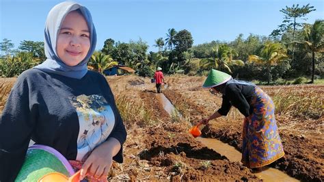 Luar Biasa Teh Sima Janda Desa Cantik Anak Sedang Aktivitas Siram