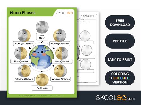 Moon Phases - Free Worksheet - SKOOLGO