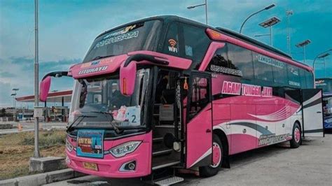 Bus Mania Harus Tahu Ini 5 Jenis Bus Pariwisata Tribunjambi Travel