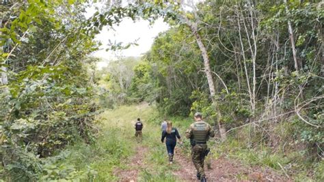 Idema Participa De Opera O Para Combater Desmatamento Da Mata Atl Ntica