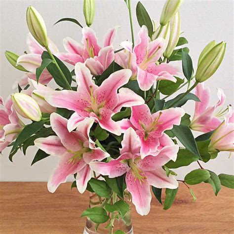 Oriental Lily Arrangement Scrims Florist