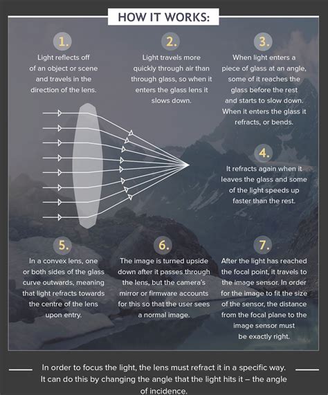 Camera Lenses Vs Human Eyes Photo Article