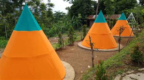 Forest Glamping Sensasi Berkemah Di Trawas Serasa Di Hotel Mewah