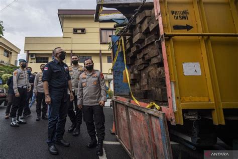 Angkut Kayu Ilegal Pria Tangse Dibekuk Polisi Antara News Aceh