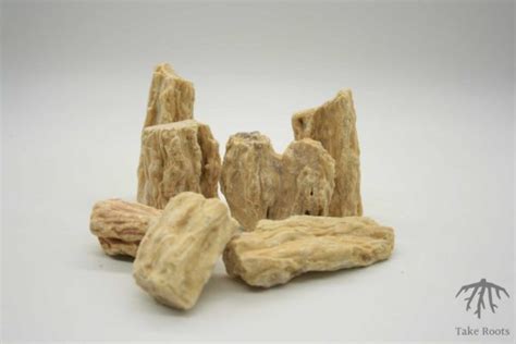 Sal Resin Shorea Robusta Take Roots Incense And Frankincense