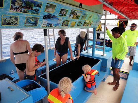 Cozumel Vip Glass Bottom Boat Snorkeling Reefs Tour Getyourguide