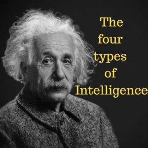 The Four Types Of Intelligence Zaivoo