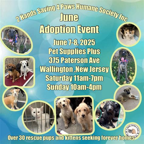 2 Hands Saving 4 Paws Humane Society Inc | Thomson GA