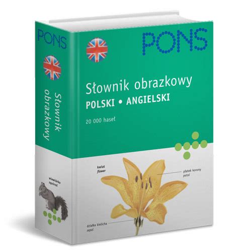 S Ownik Obrazkowy Angielski Opracowanie Zbiorowe Ksi Ka W Empik