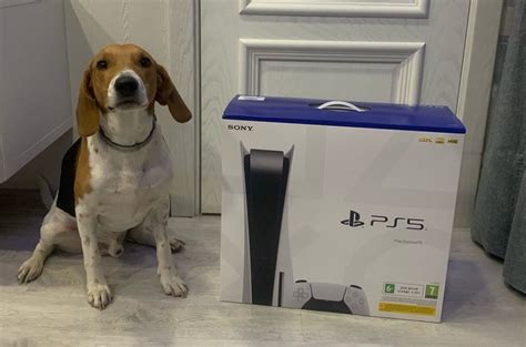 Неразбериха с Sony PlayStation 5 в России. Почему российские ритейлеры ...