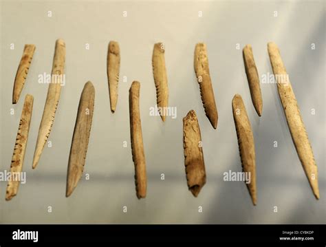 bone objects   bc skottemarke lolland maglemosian culture